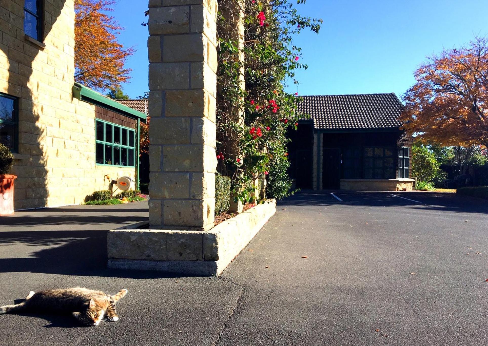 Cambridge Mews Motel Dış mekan fotoğraf
